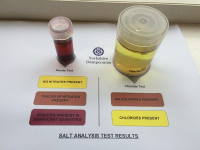 Salt Test