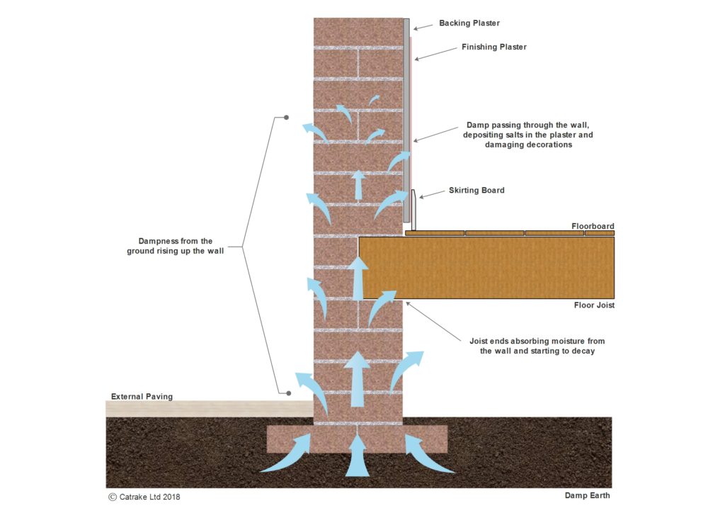 Rising Damp